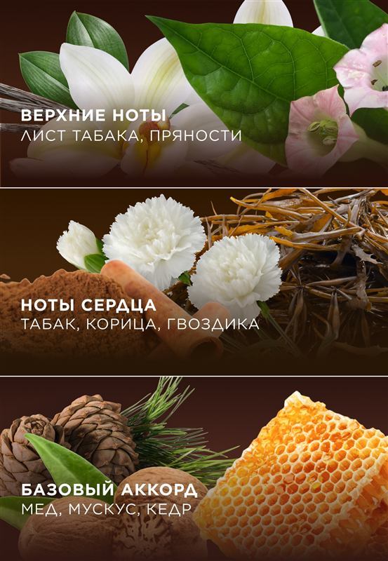 Крем-парфюм для рук и тела Tobacco & Vanilla — фото 4