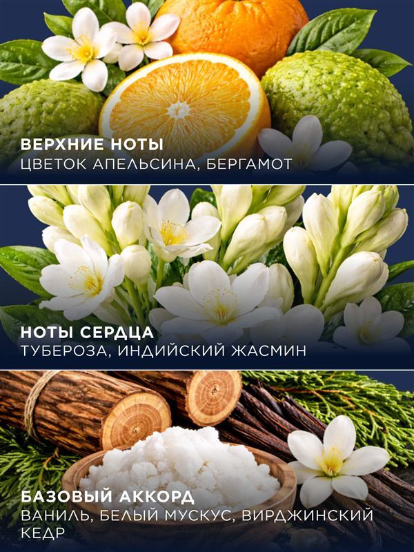 Tuberose & Musk Perfumed Hand and Body Cream — photo 4